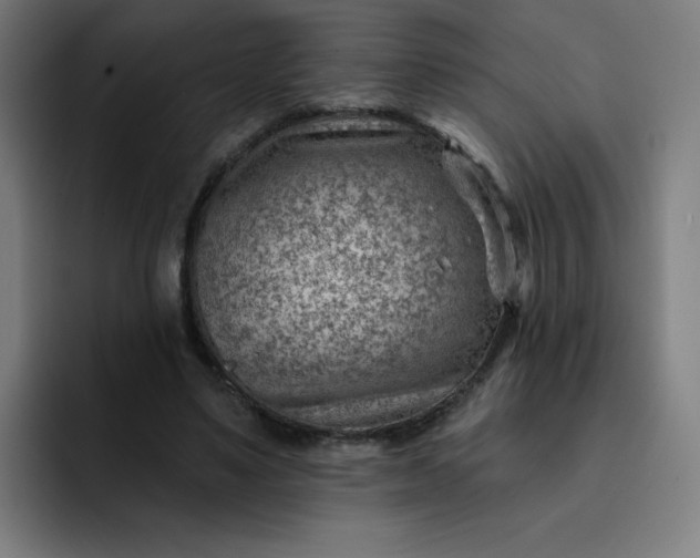 X0000093260491200710101501