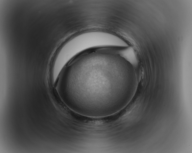 X0000093260492200710101501