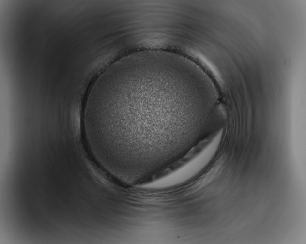 X0000093260493200710101501