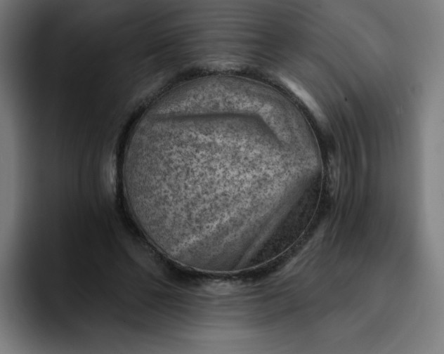 X0000093260494200710101501