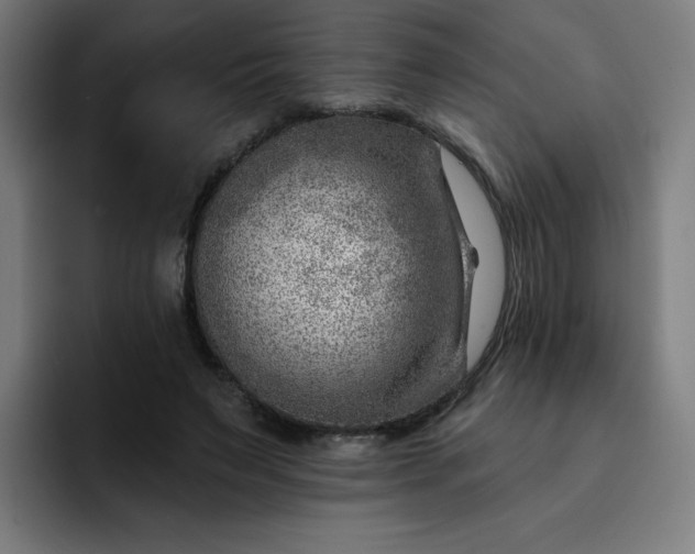 X0000093260495200710101501