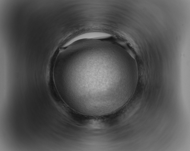 X0000093260496200710101501