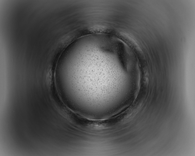 X0000093260498200710101501