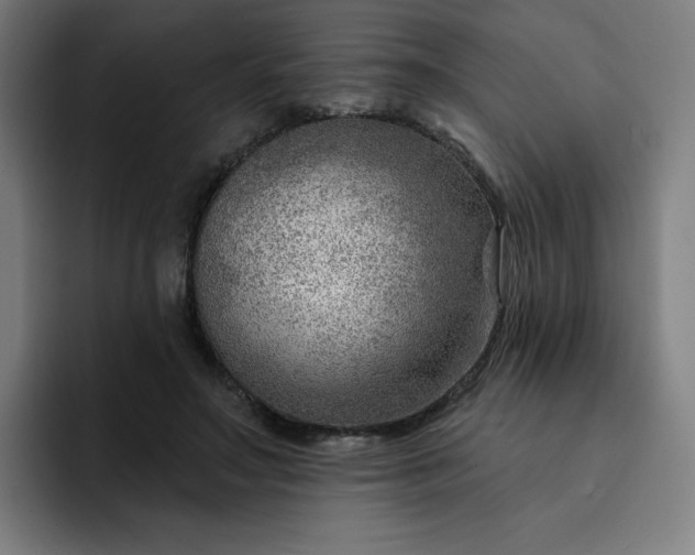 X0000093260499200710101501