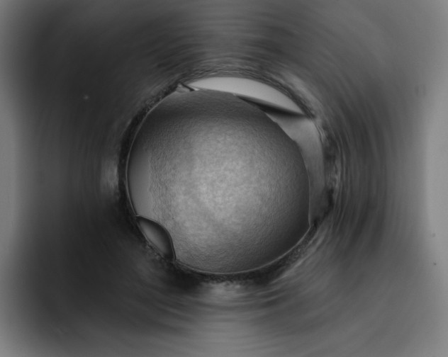 X0000093260500200710101501