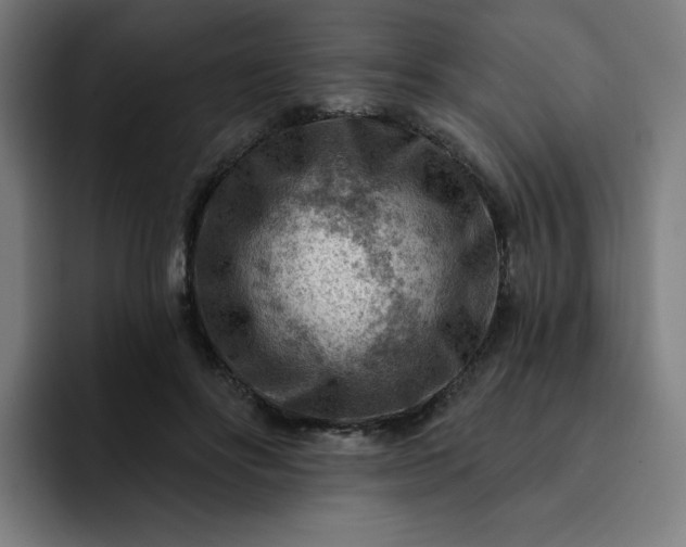 X0000093260502200710101501