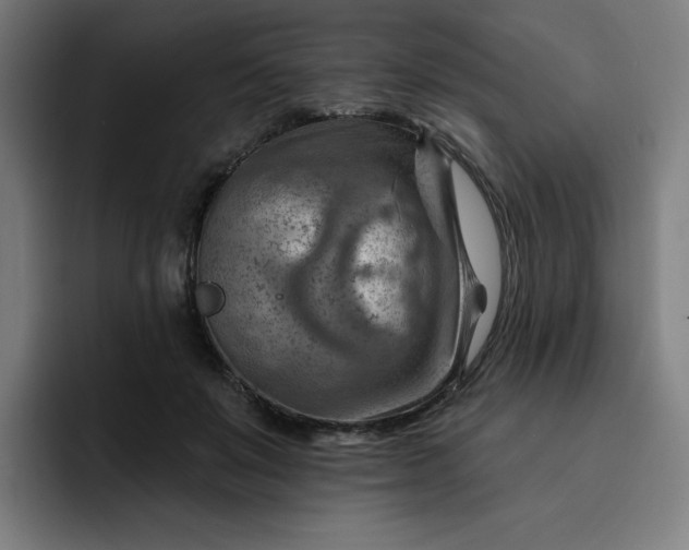 X0000093260503200710101501