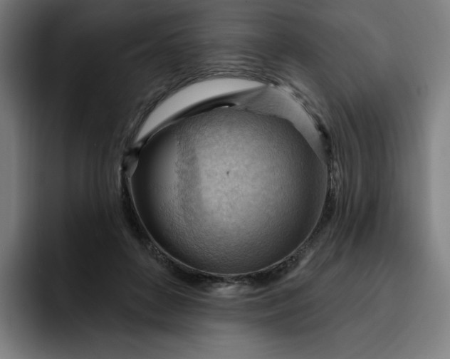 X0000093260504200710101501