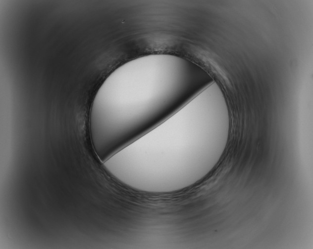 X0000093260505200710101501