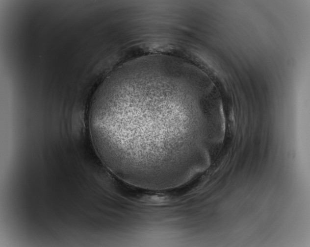 X0000093260506200710101501