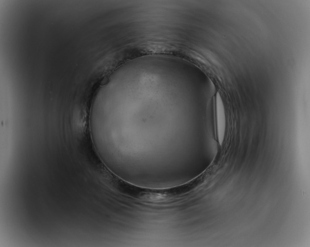 X0000093260507200710101501