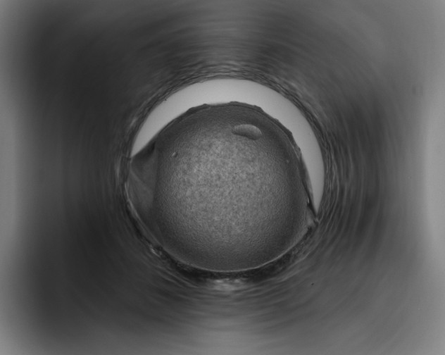 X0000093260508200710101501