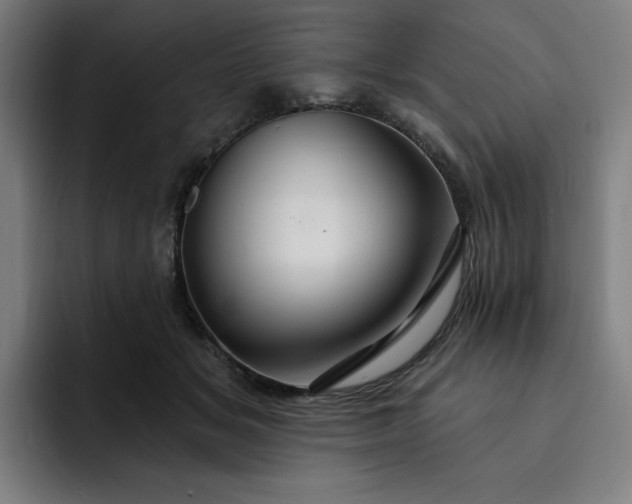 X0000093260509200710101501