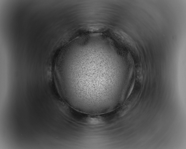 X0000093260510200710101501