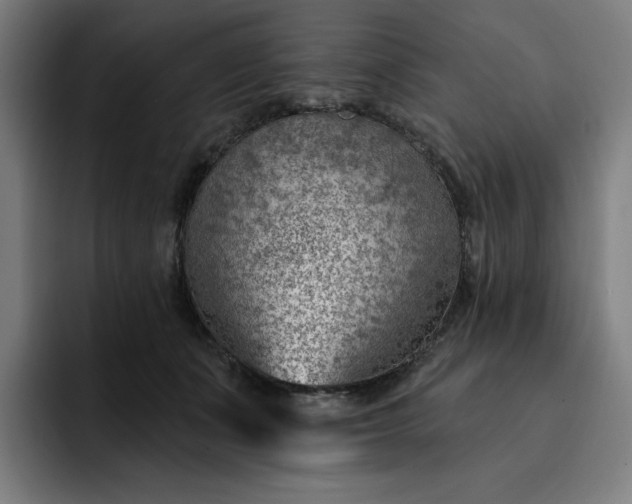 X0000093260511200710101501