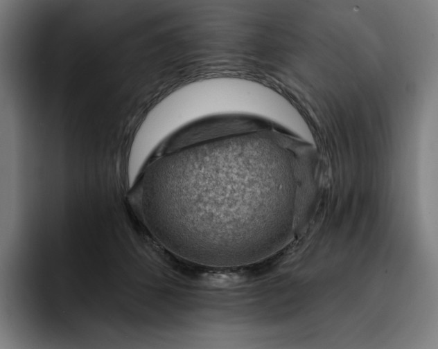 X0000093260512200710101501