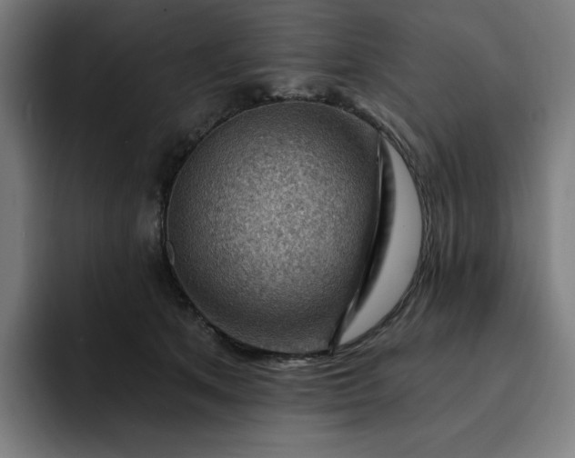 X0000093260513200710101501