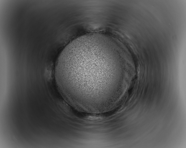 X0000093260515200710101501