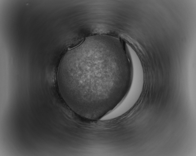 X0000093260517200710101501