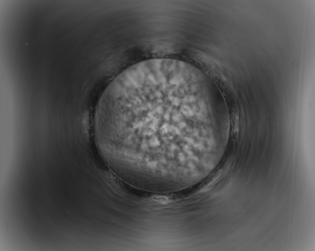 X0000093260519200710101501