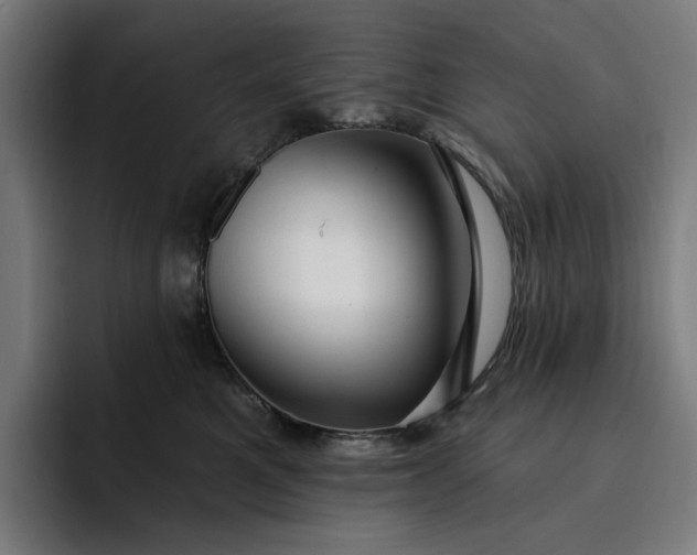 X0000093260521200710101501