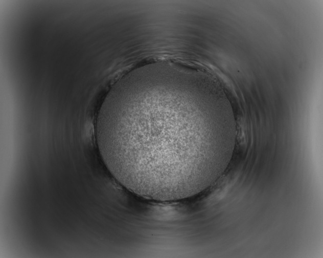 X0000093260523200710101501