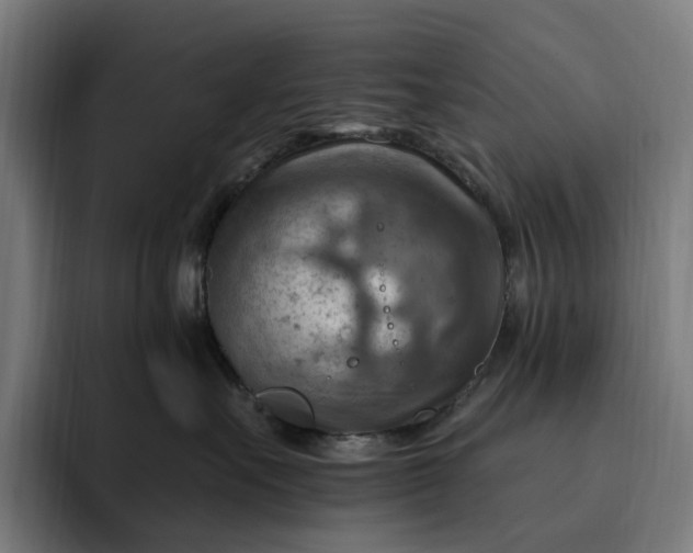 X0000093260527200710101501