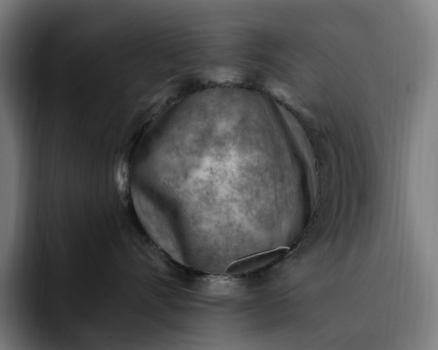 X0000093260528200710101501