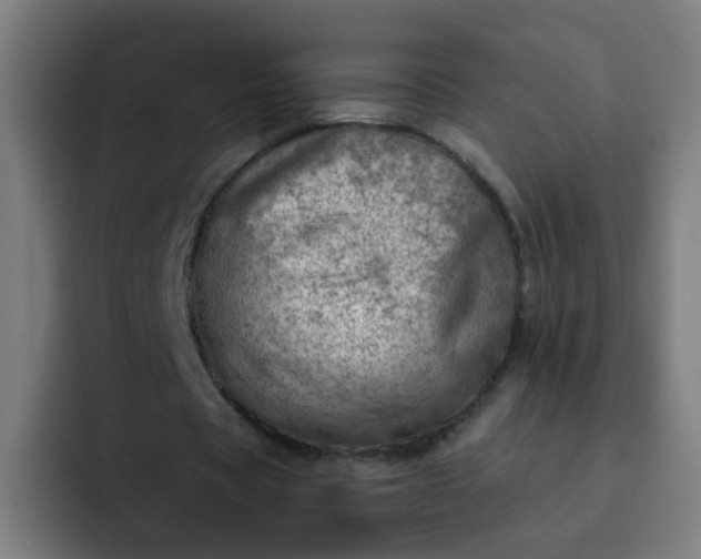 X0000093260529200710101500