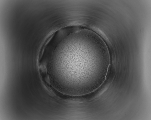 X0000093260530200710101500