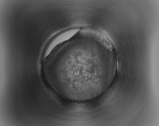 X0000093260531200710101500