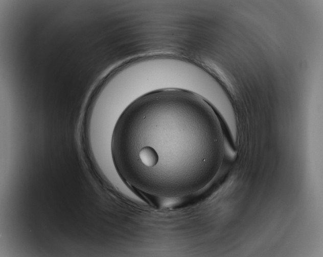 X0000093260532200710101500