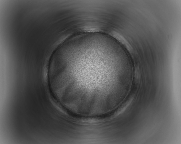 X0000093260533200710101500