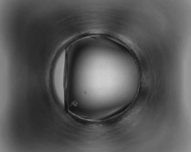 X0000093260535200710101500