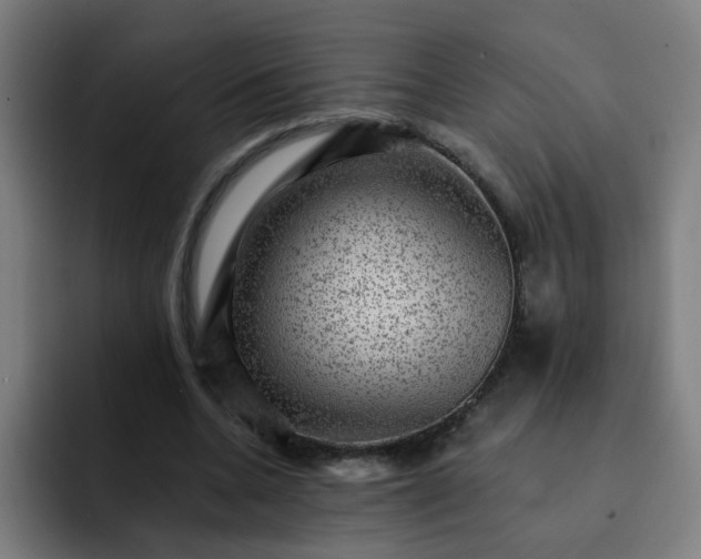 X0000093260536200710101500