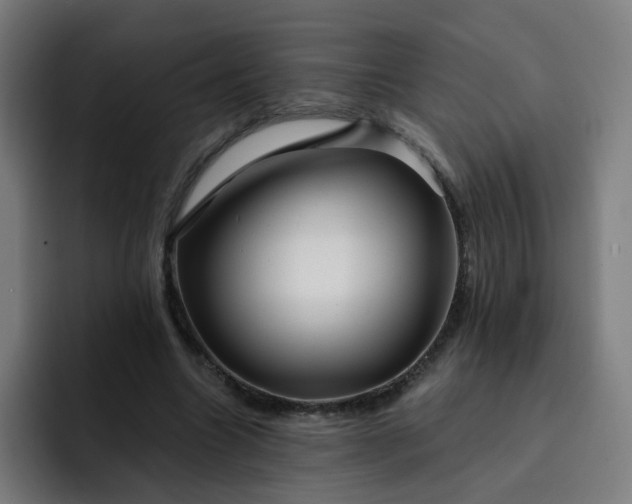 X0000093260538200710101500