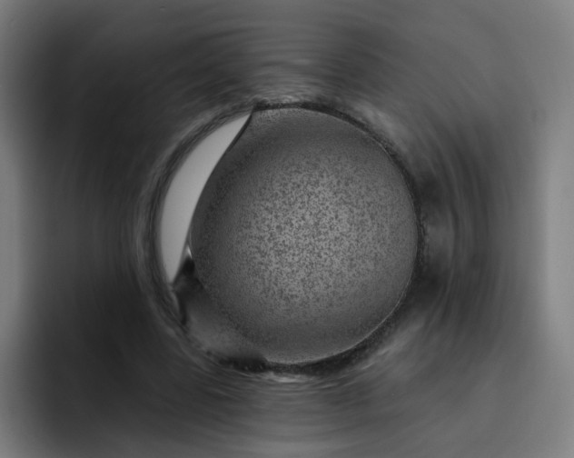 X0000093260539200710101500