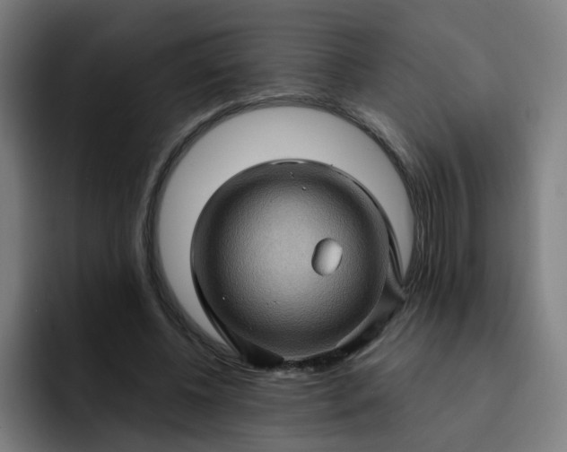 X0000093260540200710101500