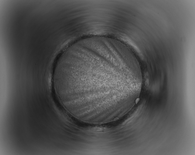 X0000093260542200710101501