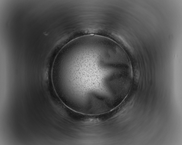 X0000093260543200710101501