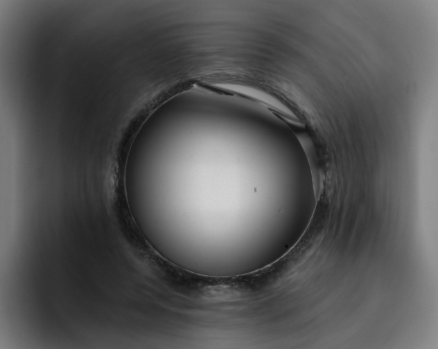 X0000093260544200710101501