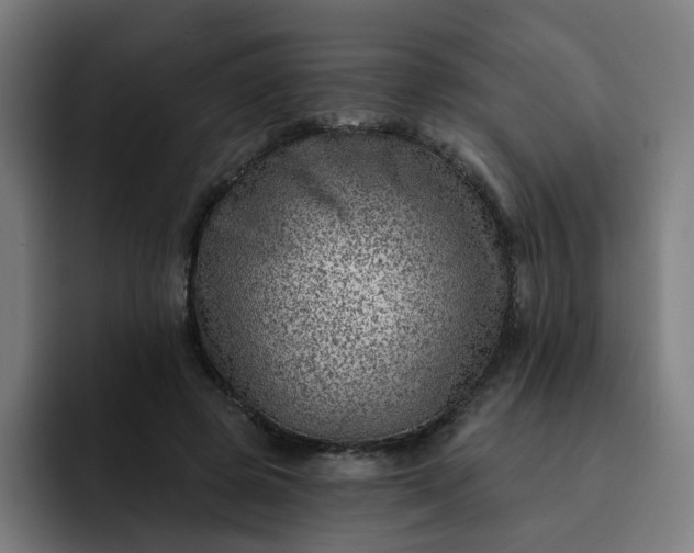 X0000093260545200710101501