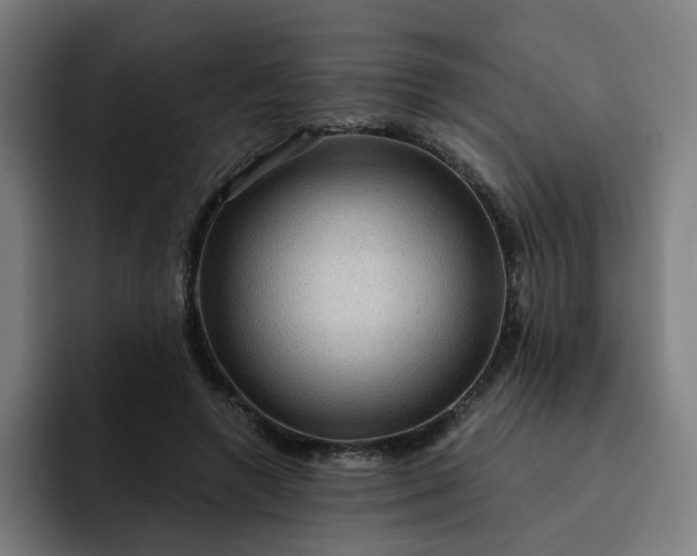 X0000093260546200710101501