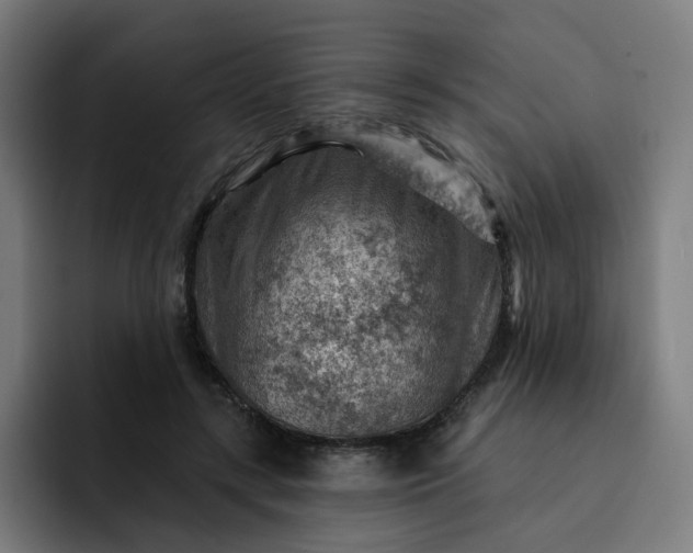 X0000093260547200710101501