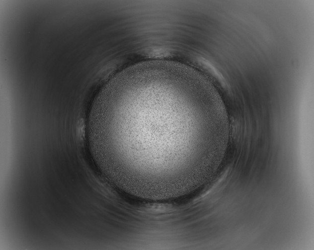 X0000093260549200710101501