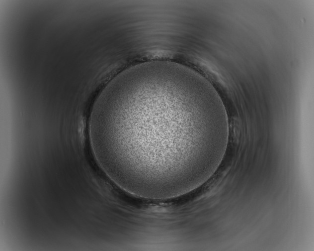 X0000093260550200710101501