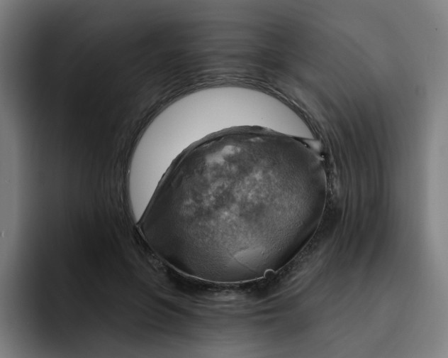 X0000093260551200710101501