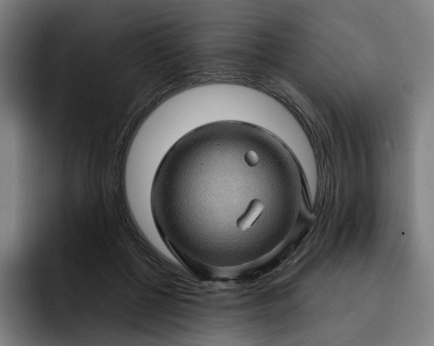 X0000093260552200710101501