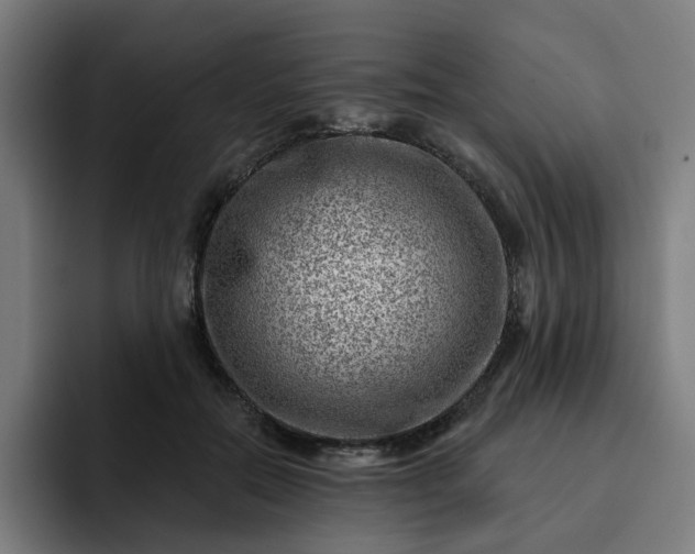 X0000093260554200710101501