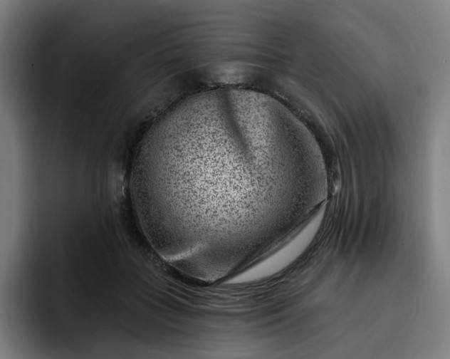 X0000093260555200710101501